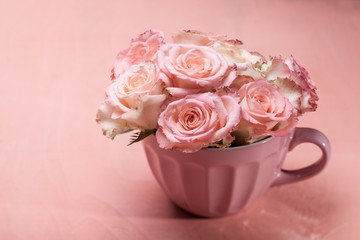 Pink roses in pot