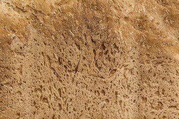 Homemade bread texture