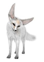 Obraz premium 3D Rendering Fennec Fox on White