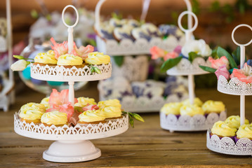 Delicious candy bar Dessert table for outdoor party. Ombre cake, cupcakes, sweetness, berries and flowers