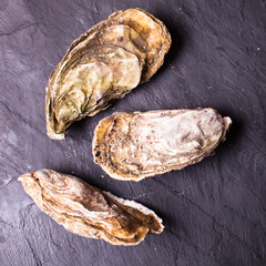 Oysters on slate