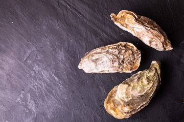 Oysters on slate