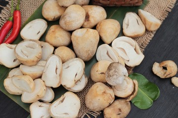 Fototapeta premium Fresh mushrooms for cooking on wood background.