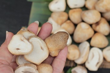 Fresh mushrooms for cooking on wood background.
