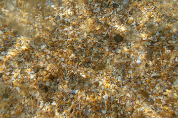 sandy seabed
