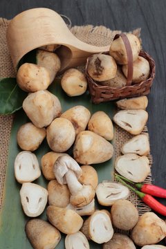 Fresh mushrooms for cooking on wood background.