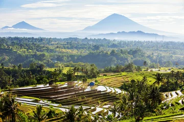 Fotobehang Bali Rice Terraces. Rice fields of Jatiluwih © Maygutyak