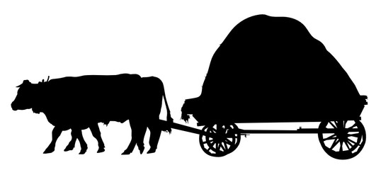 agricultural farm animals bulls a cart - obrazy, fototapety, plakaty