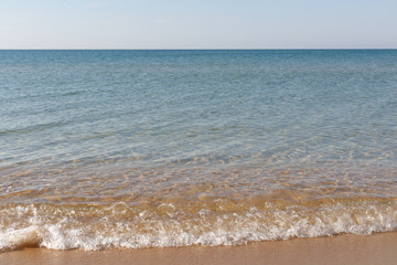 sandy sea beach
