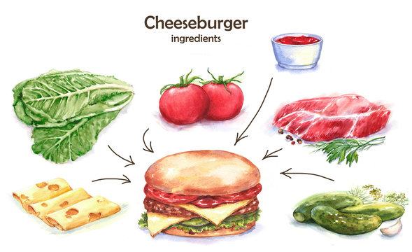 Hand-drawn watercolor fast food drawing. Illustration of the different ingredients of the cheeseburger: cheese, tomatoes, pickles, meat, salad
