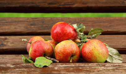 Ripe apples picked from the garden..