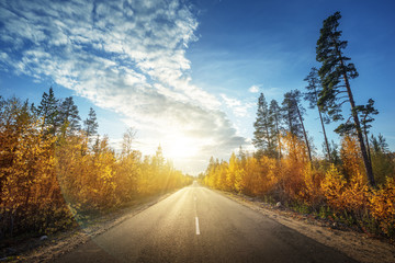 road in north forest in autumn time