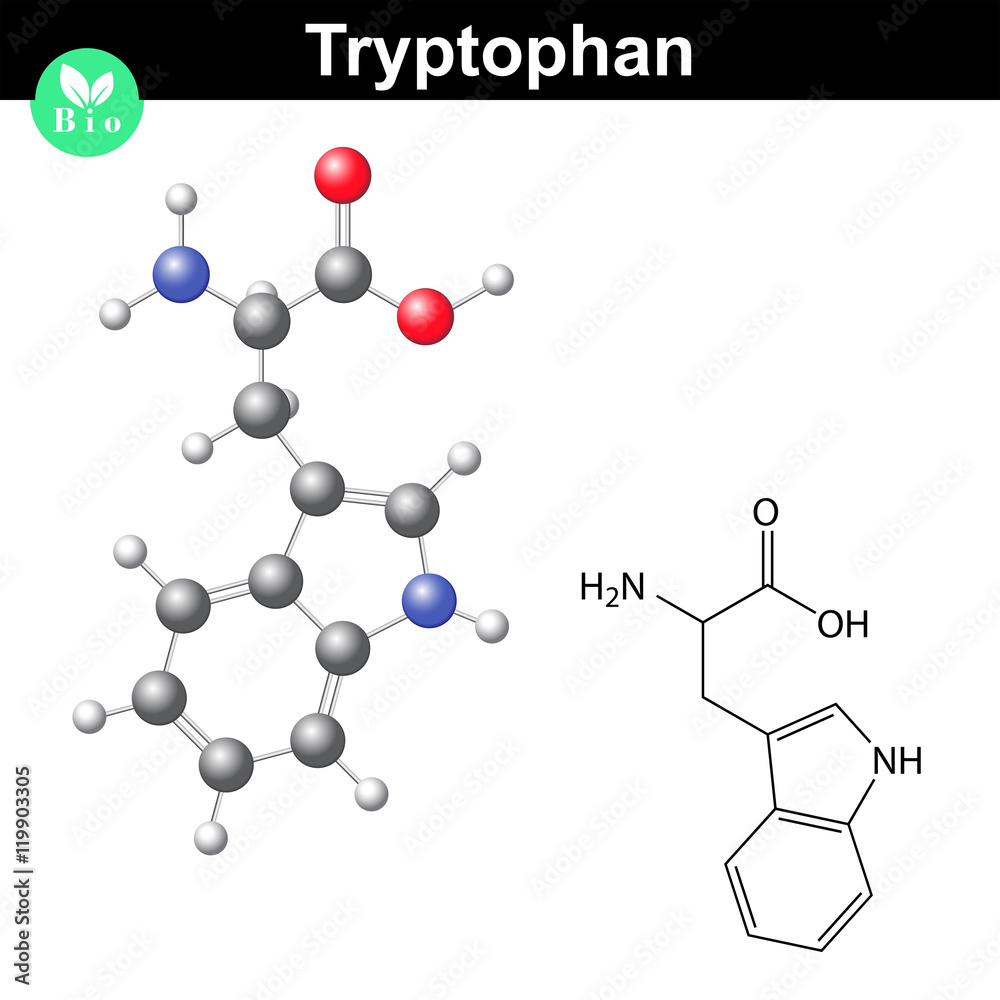 Wall mural tryptophan essential amino acid