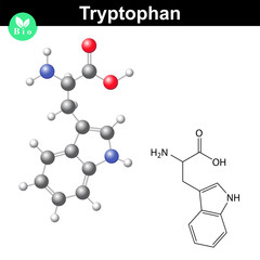 Tryptophan essential amino acid