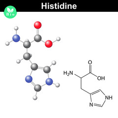 Histidine essential amino acid