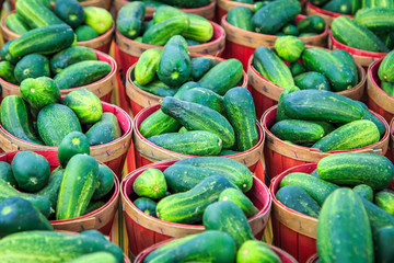 Cucumbers
Adjacent baskets of Cucumbers for sale at a Mexican produce stand at a local farmers market.