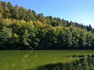 Fluss durch den Wald