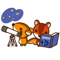 こりすぐみ 天体観測