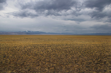 A wide valley steppe with yellow grass under a cloudy sky on the background of mountain ranges, the Altai mountains, Siberia, Russia
