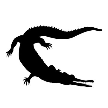 Crocodile isolated realistic vector illustration black silhouette