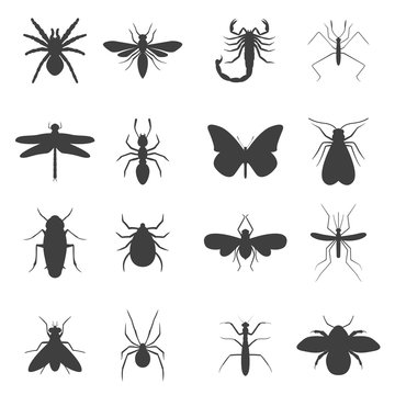 Insect icons set.