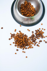 Pet's bowl and food on white background
