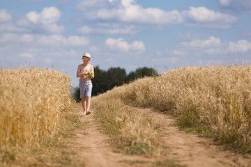 Naklejka na ściany i meble Cute kid boy in straw hat walking along countryside road and holding bunch of wild flowers on sunny summer day. Barefooted Child in the golden wheat field. Lifestyle concept