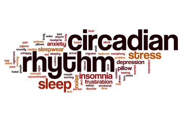 Circadian rhythm word cloud