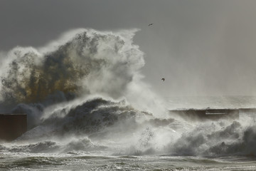 Big sea waves splash
