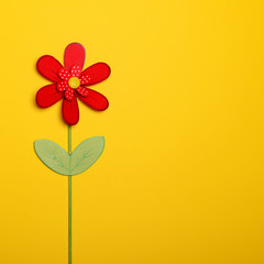 Red flower on yellow background - Flat lay minimal design