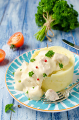Bechamel sauce with chicken and mashed potatoes