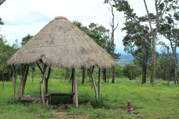 Fototapeta na wymiar thatched cottage in forest
