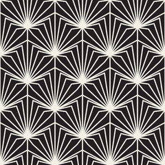 Vector Seamless Black and White Burst Lines Geometric Pattern