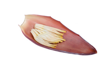Banana Blossoms on Leaf Isolated on White
