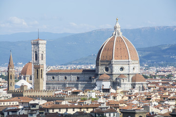 Fototapeta na wymiar Panoramica de Florencia, Italia