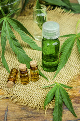 cannabis for treatment (decoction, tincture, extract oil). 