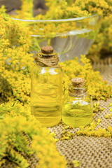 goldenrod herb for the treatment (decoction, tincture, extract oil). 