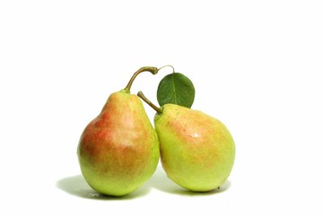 Two ripe yellow pears 3