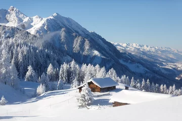 Wintermärchen in den Alpen © Olha Sydorenko