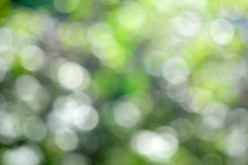 bokeh background, Abstract party background