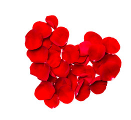Red rose petals heart. Isolated on white background