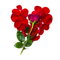 petals in a shape of heart with Rose