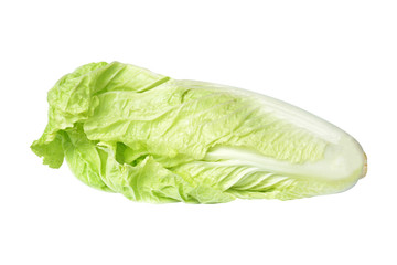 Chinese cabbage on a white background.