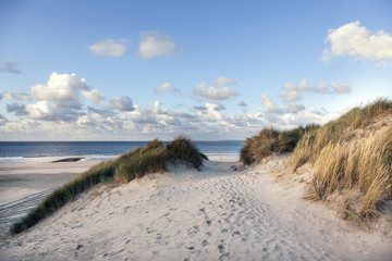 sand and dunes near beach of vlieland in the netherlands with bl