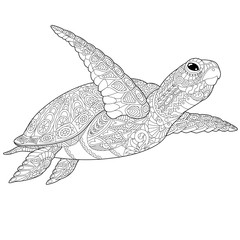 Fototapeta premium Stylizowany żółw podwodny (żółw). Szkic odręczny dla dorosłych kolorowanki antystresowe z elementami doodle i zentangle.