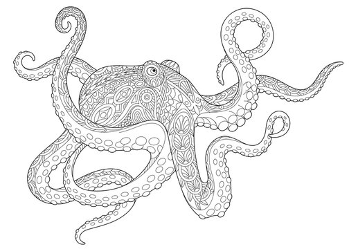 Stylized underwater octopus (poulpe, cuttlefish, squid, devilfish). Freehand sketch for adult anti stress coloring book page with doodle and zentangle elements.