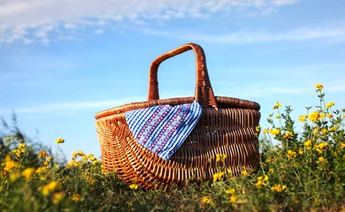 Fotobehang picknicken © MK-Photo