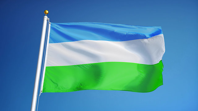Molossia flag waving against clean blue sky, close up, isolated with clipping path mask alpha channel transparency