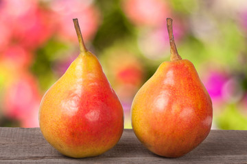 two pears on a dark wooden table with blurred background