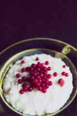 rice pudding with berry
